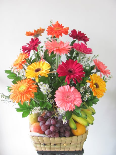 Frutero de Gerberas
