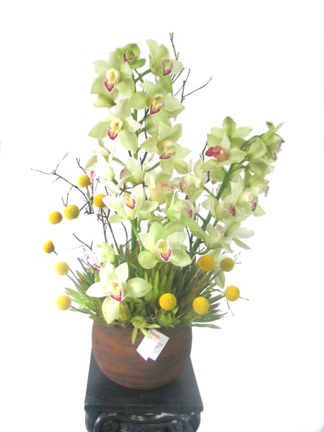 Arreglo de Orquídeas
