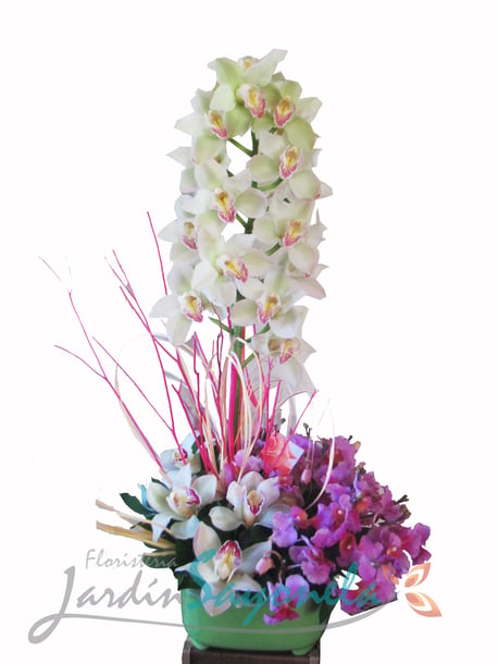 Arreglo de Orquídeas