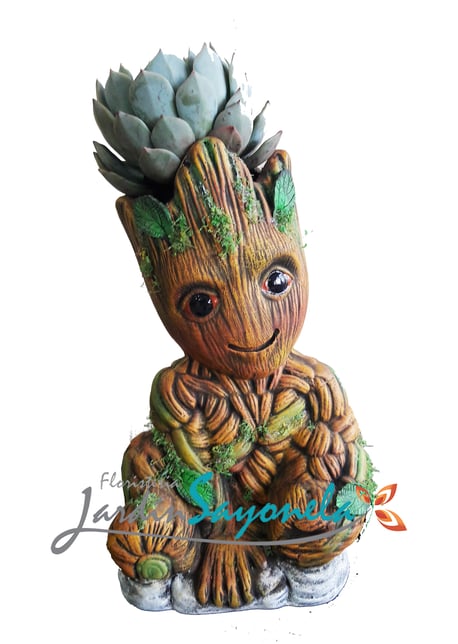 Yo Soy Groot 1 !