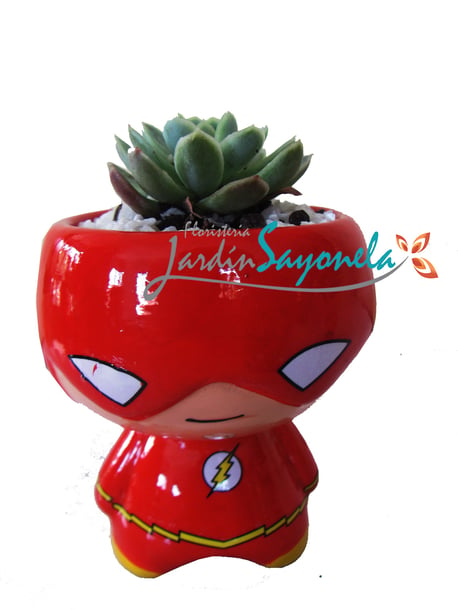 Flash