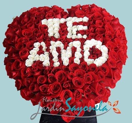 Te Amo