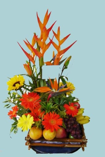Opalos, Gerberas y Frutas
