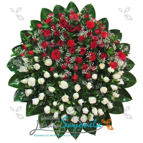 Corona Rosas