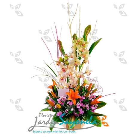 Orquideas