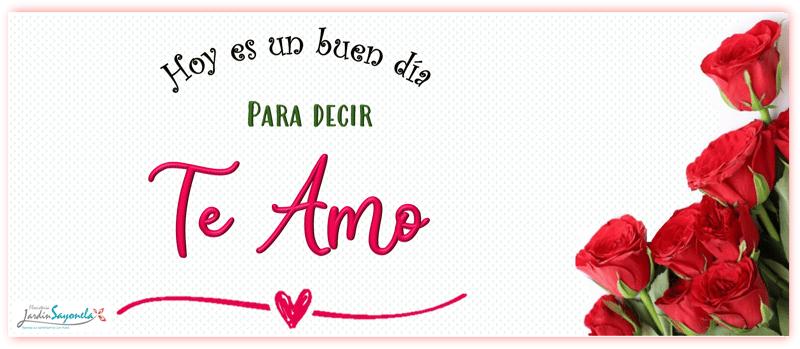 diario