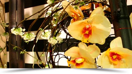 decoracion-de-Oficinas.jpg