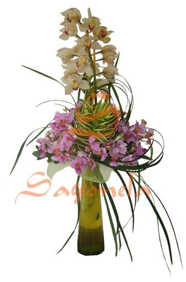 Orquídeas Hawaianas en tubo de vidrio
