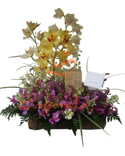 Orquídeas y Velón