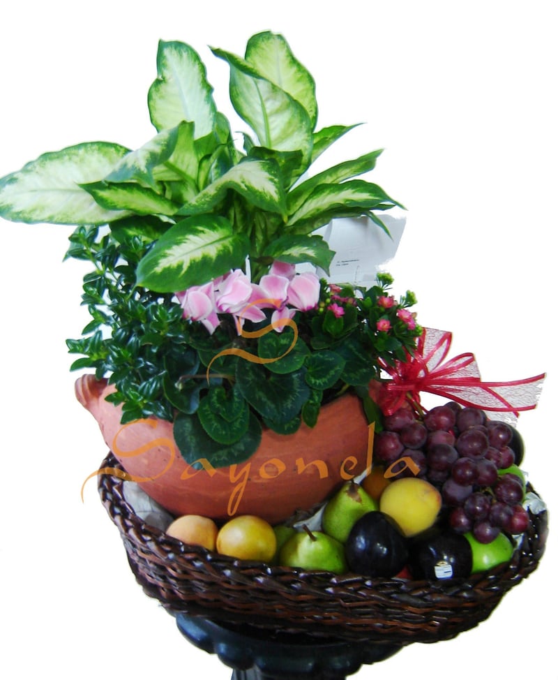Jardín de Plantas y Frutas