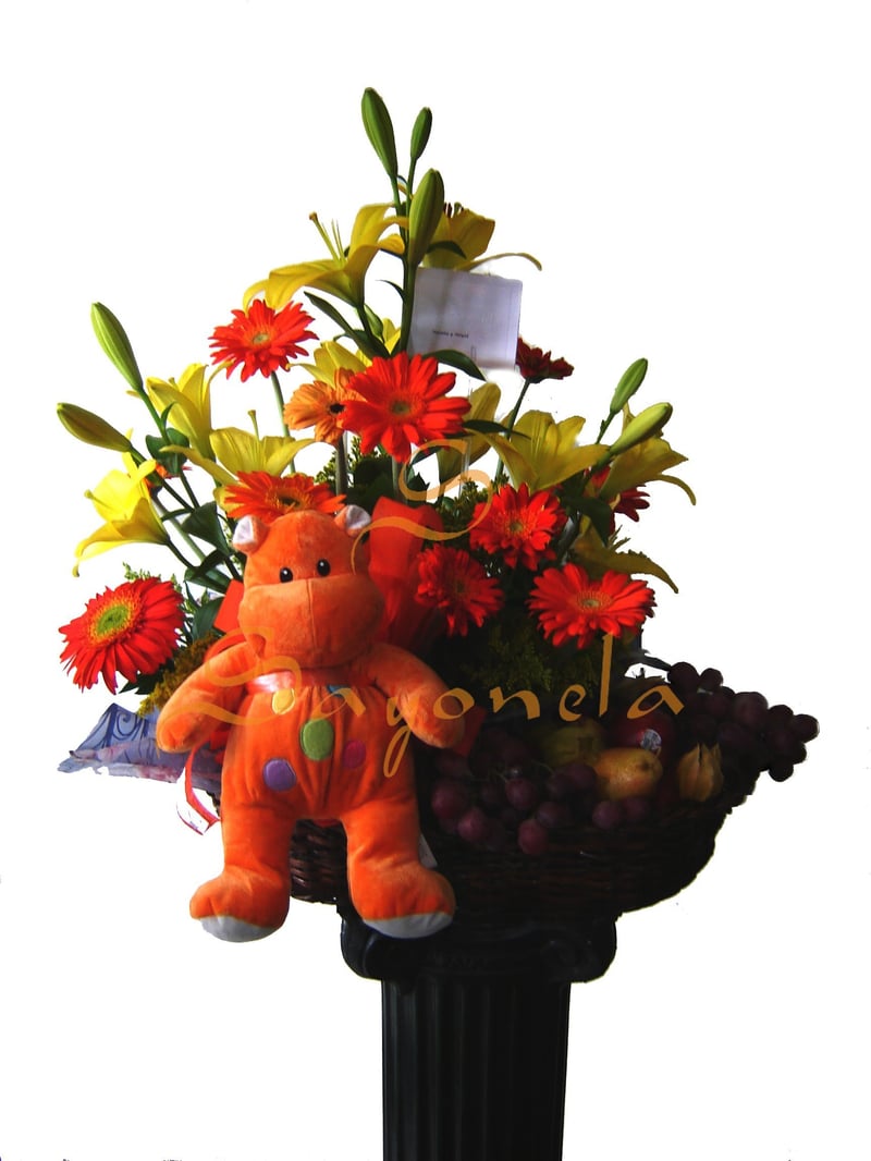Flores, Frutas y Peluche