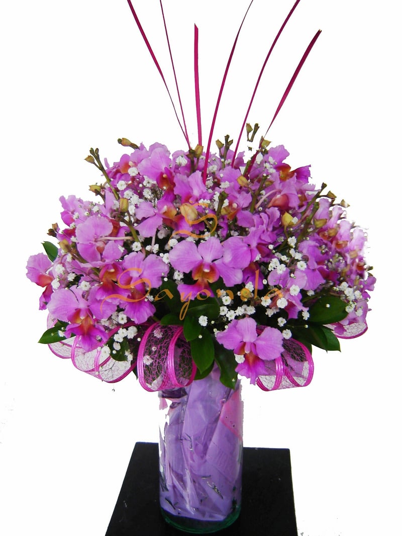 Orquideas