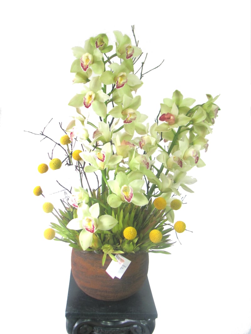 Arreglo de Orquídeas
