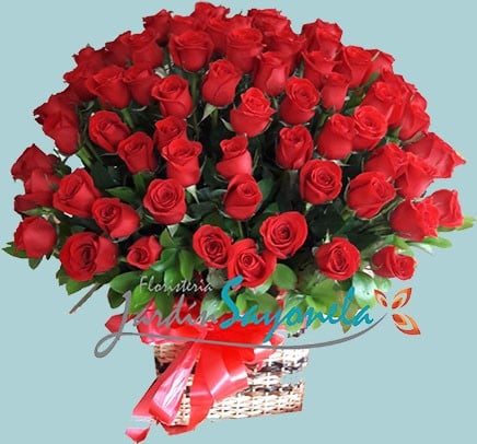 Canasta Love