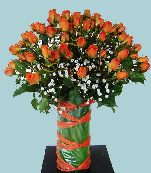 Rosas Mini