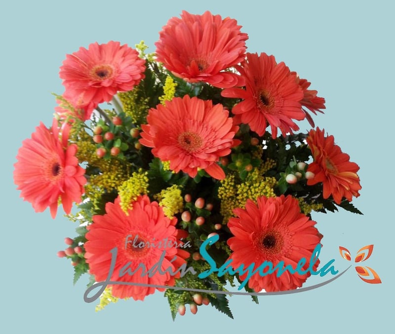 Bouquet de Gerberas