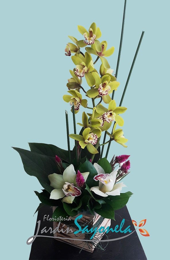 Orquideas Rustricas