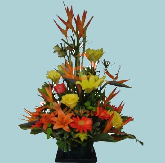 Rosas, Gerberas y Aves del Paraíso