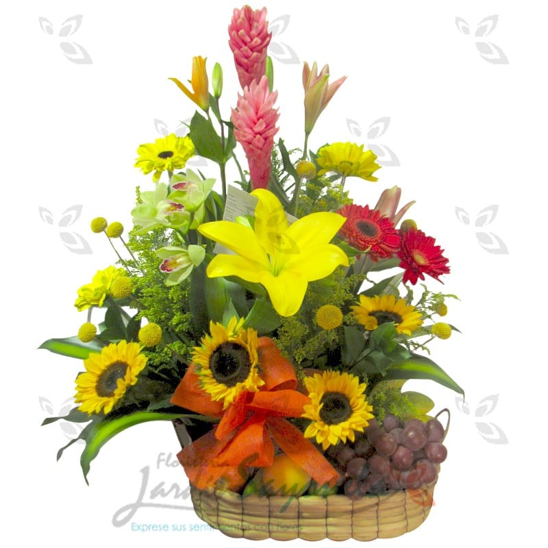Exótico y Frutas