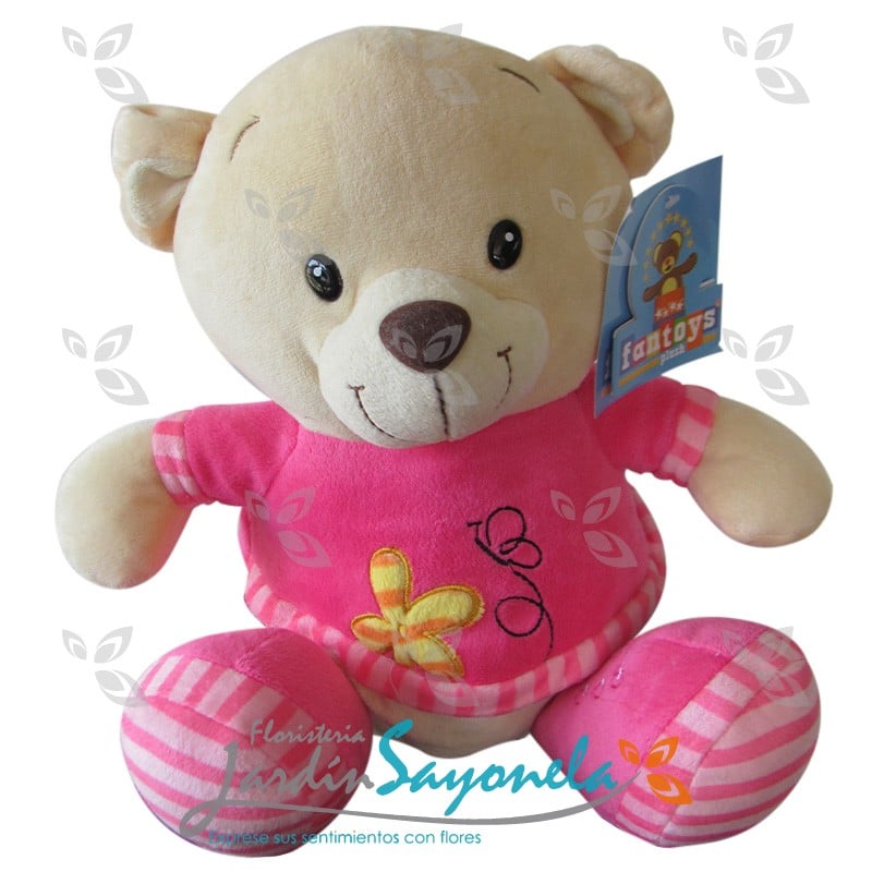 Oso de Peluche