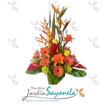 Belleza Exotica