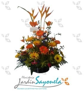 Aves del Paraíso, Gerberas, Lirios y Opalos